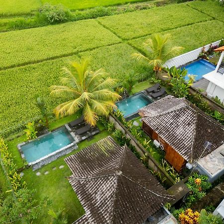 Mardika Private Villa Ubud Eksteriør billede