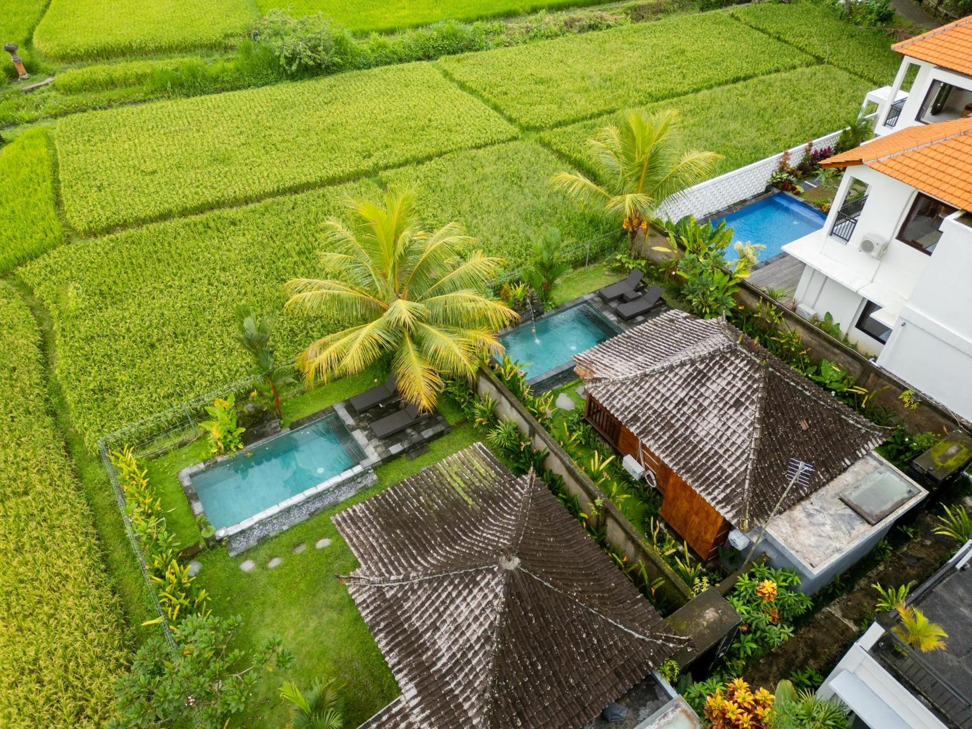 Mardika Private Villa Ubud Eksteriør billede